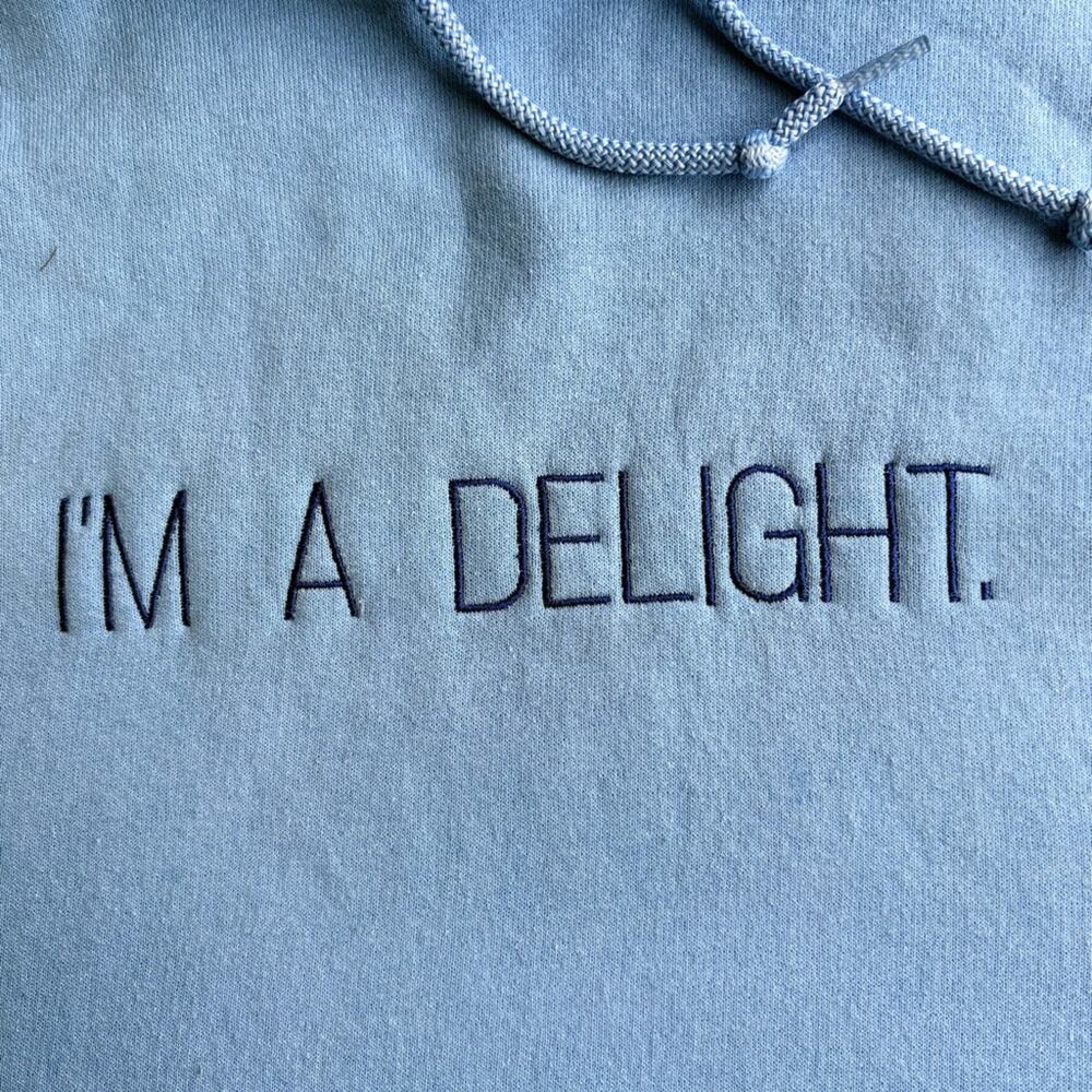 Blue Hoodie - I'm a Delight - Picture 2 of 8